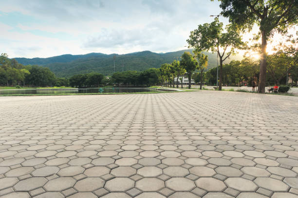 Best Interlocking Driveway Pavers  in Montrose, MI