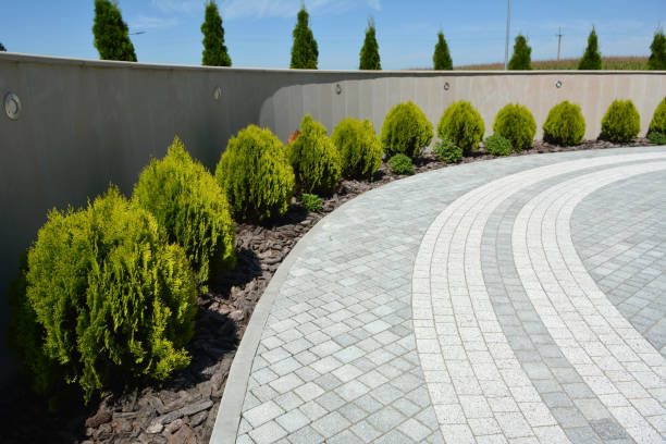 Best Interlocking Driveway Pavers  in Montrose, MI