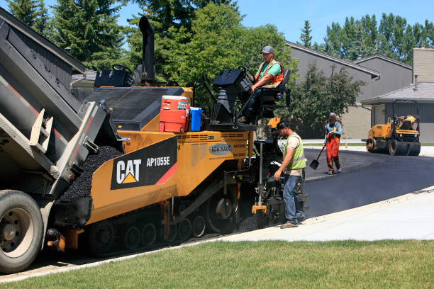 Best Local Driveway Pavers  in Montrose, MI