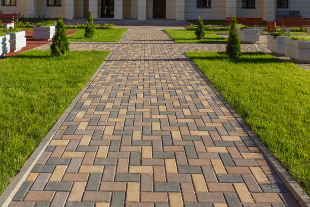 Best Driveway Paving Contractor  in Montrose, MI